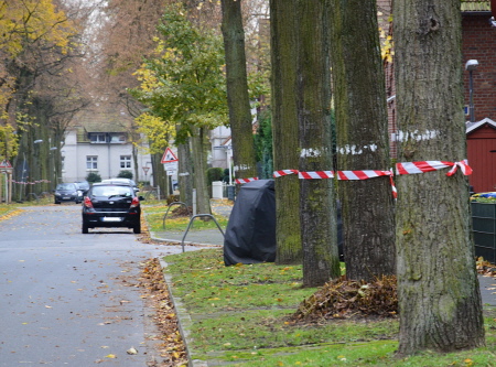 Zum Vergr&ouml;&szlig;ern auf das Bild klicken!