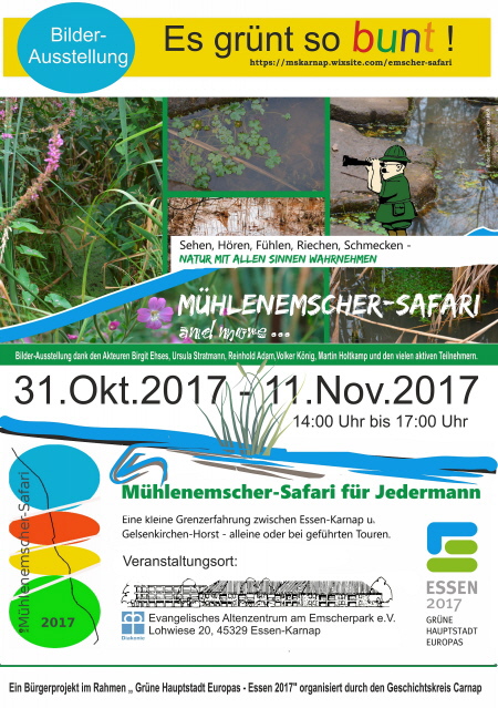 Es gr&uuml;nt so bunt!