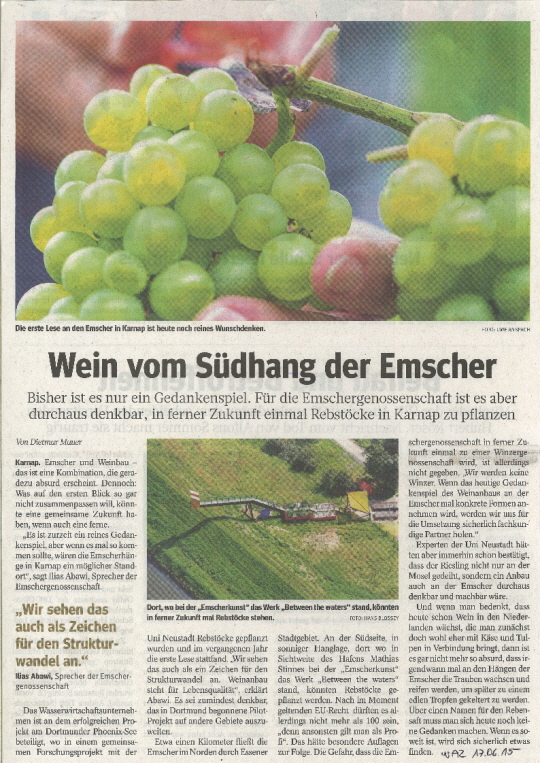 Weinanbau in Karnap